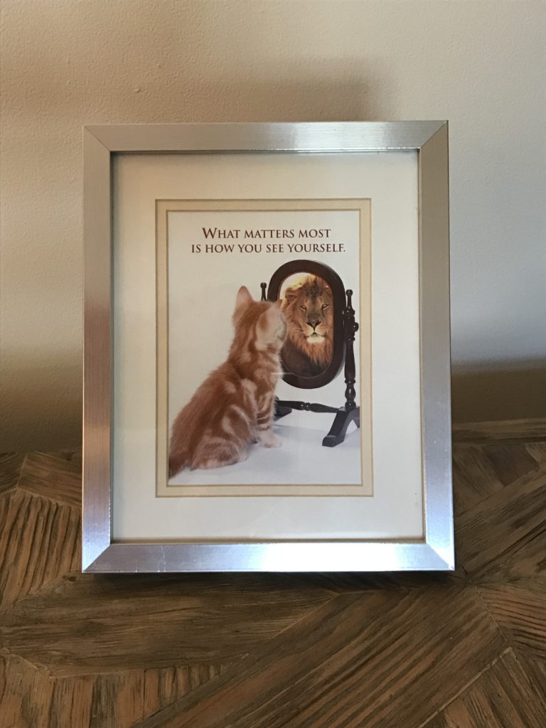 Picture of a cat looking in the mirror seeing a lion with the text - What Matters Most is How You See Yourself