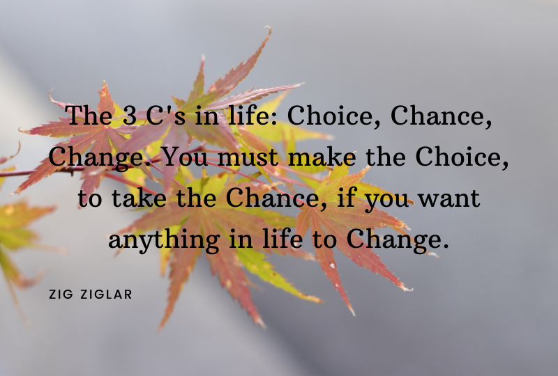 Zig Ziglar Quote: The 3 C's in life: Choice, Chance, Change. You must make the Choice, to take the Chance, if you want anything in life to Change.