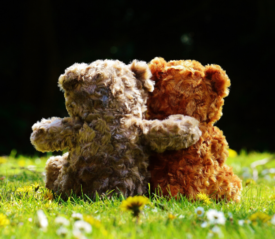 Two bears hugging demonstrating the power of friendship