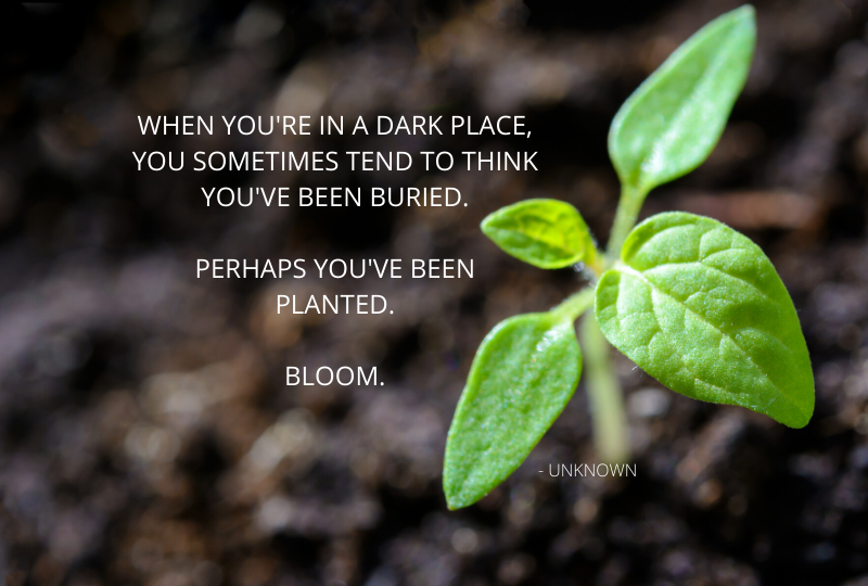 A sprout in the dirt with a quote about changing your perspective to combat depression