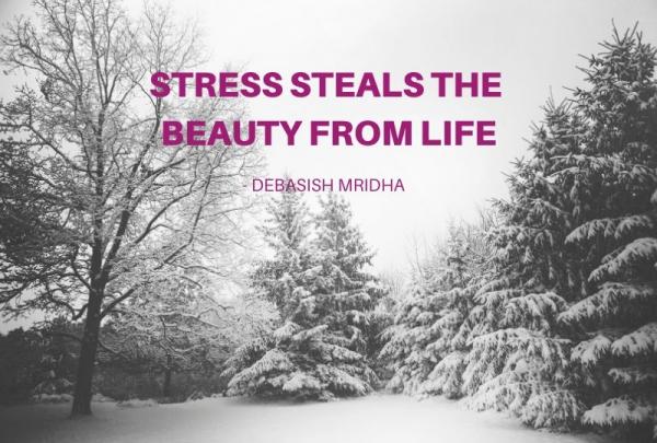 Black and White Image of Trees Covered in Snow with a Quote from Debashish Mridha - Stress Steals the Beauty from Life