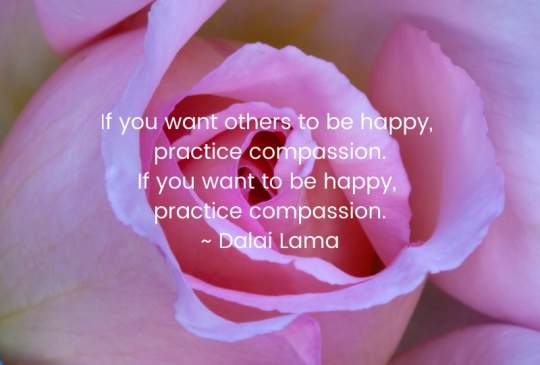 Dalai Lama Quote - Practice Compassion to be Happy